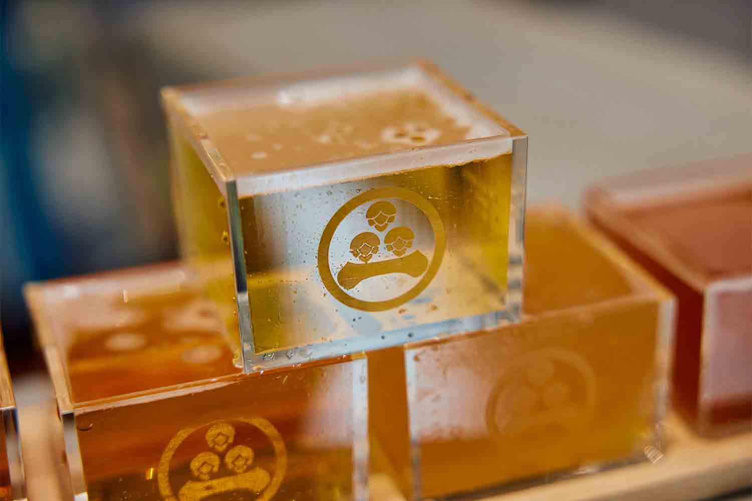 旅先でクラフトビールを巡る！ 透明の升に惹かれて富士吉田のブルワリーへ