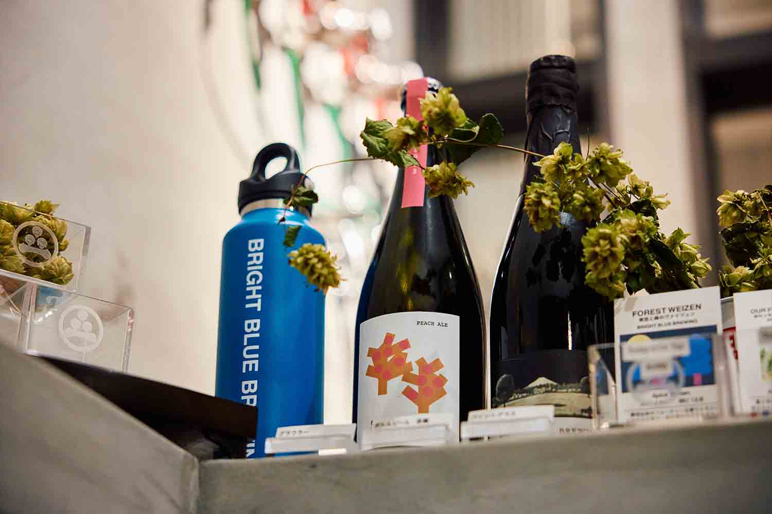 旅先でクラフトビールを巡る！ 透明の升に惹かれて富士吉田のブルワリーへ