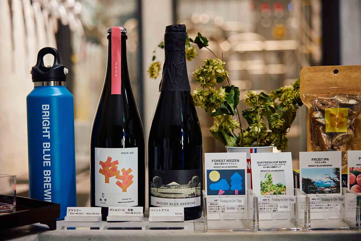 旅先でクラフトビールを巡る！ 透明の升に惹かれて富士吉田のブルワリーへ