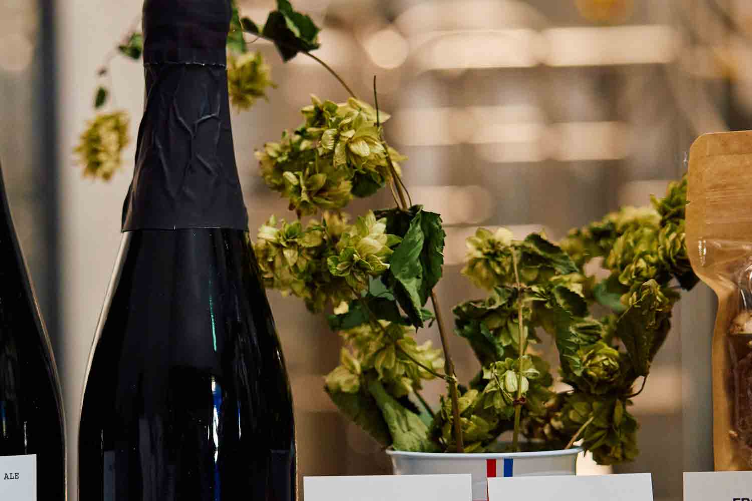 旅先でクラフトビールを巡る！ 透明の升に惹かれて富士吉田のブルワリーへ