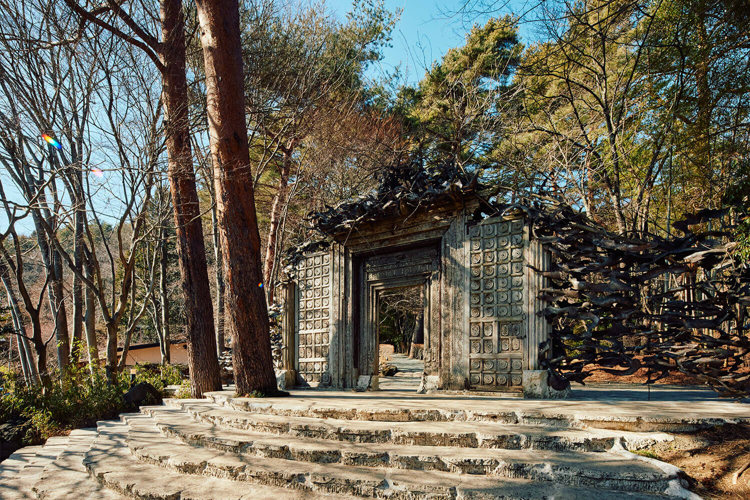 自然との調和と独特な世界観が堪能できる ミシュラン3つ星の美術館