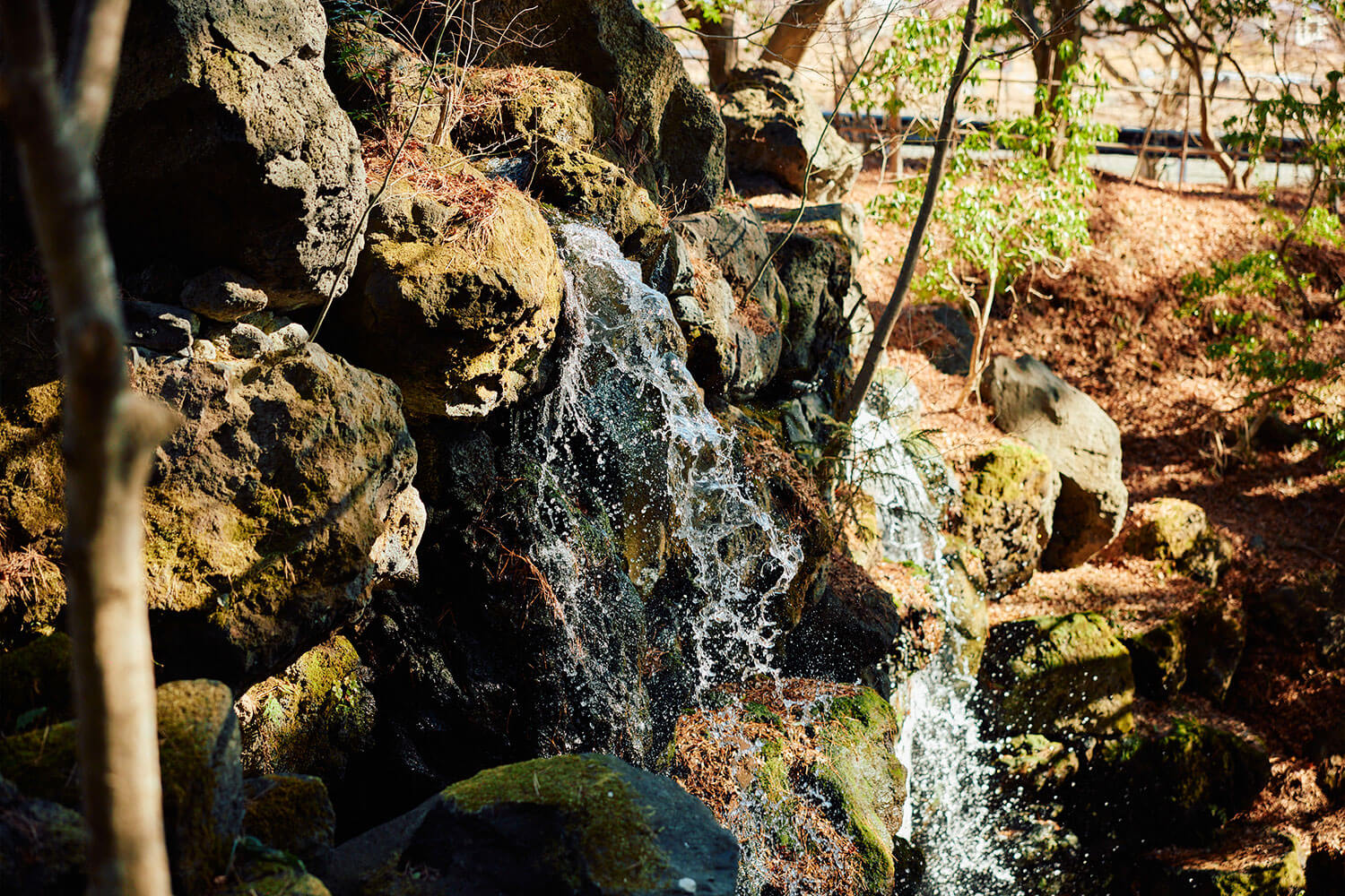 自然との調和と独特な世界観が堪能できる ミシュラン3つ星の美術館
