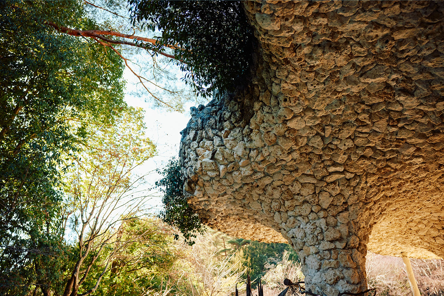 自然との調和と独特な世界観が堪能できる ミシュラン3つ星の美術館