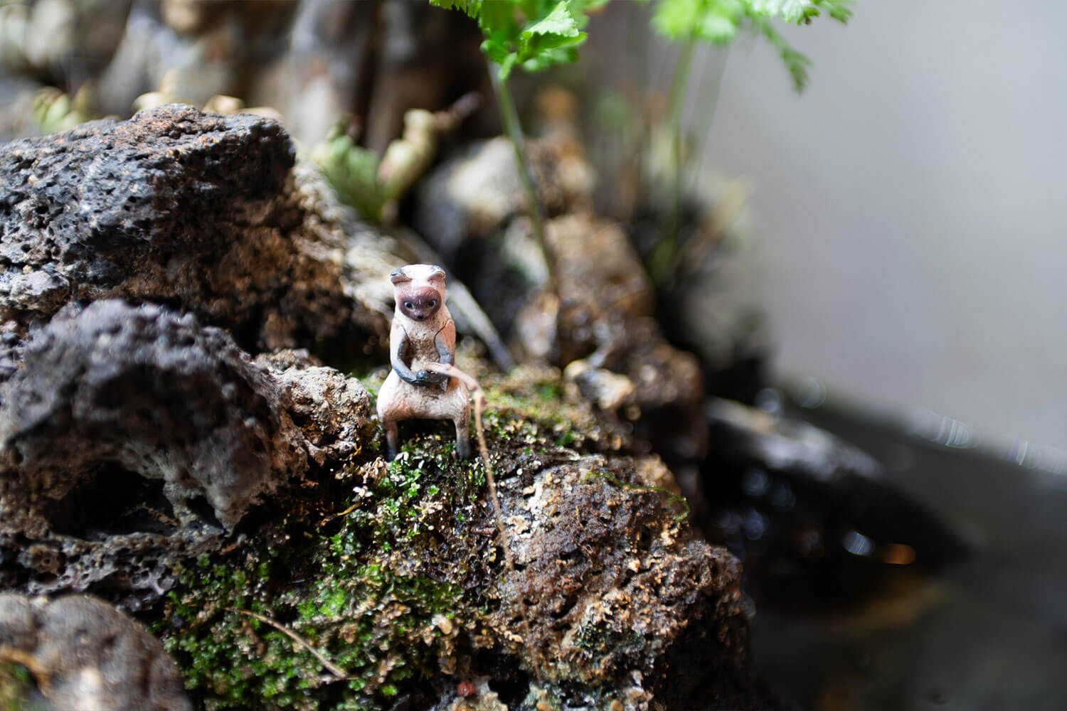 富士河口湖のB級グルメ！老舗『味処 まんぷく』でかっぱめしを堪能しよう