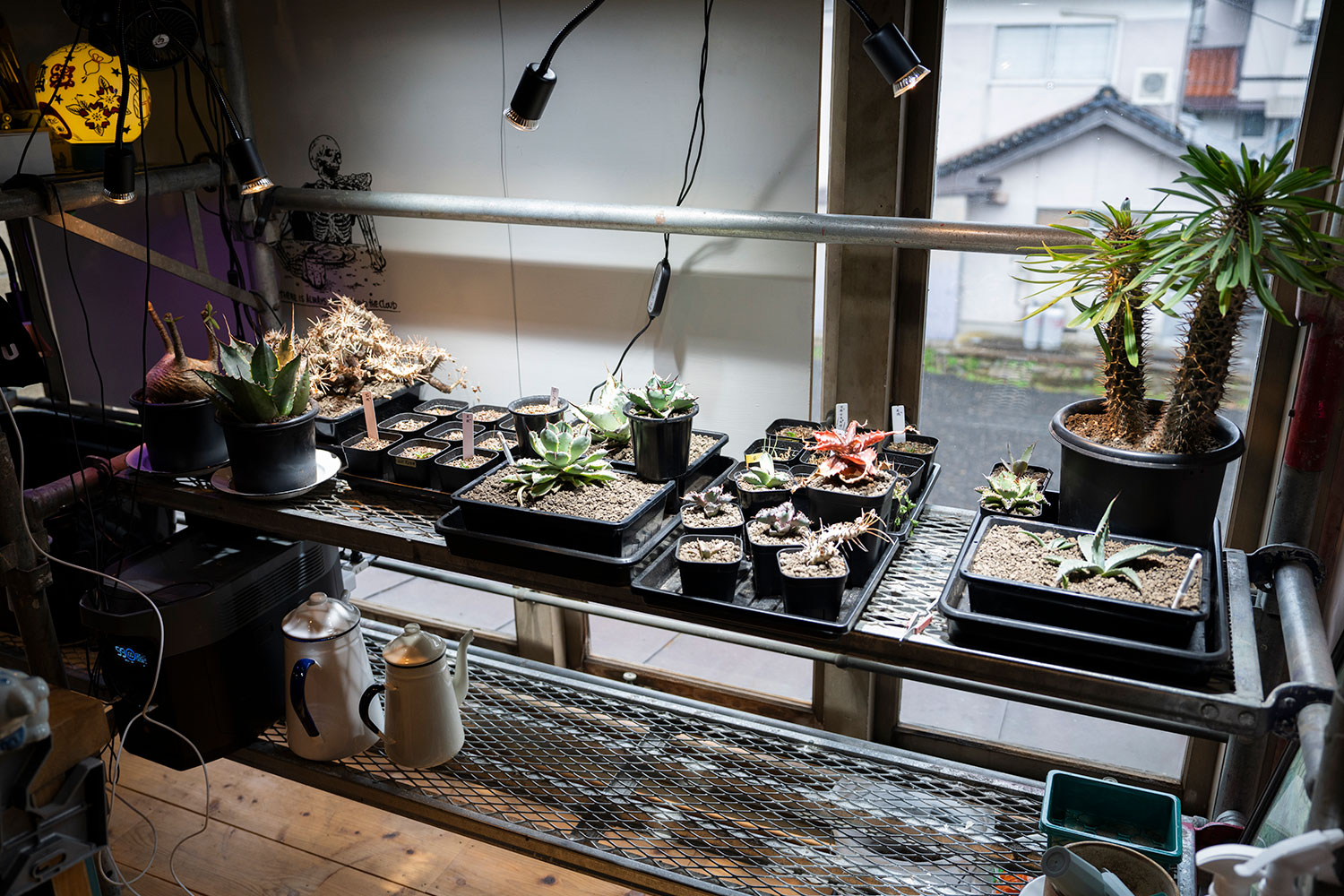 “好き”と“楽しい”を詰め込んだ</br>出雲市のセンスフルな複合型ショップ『B.S.K.K』