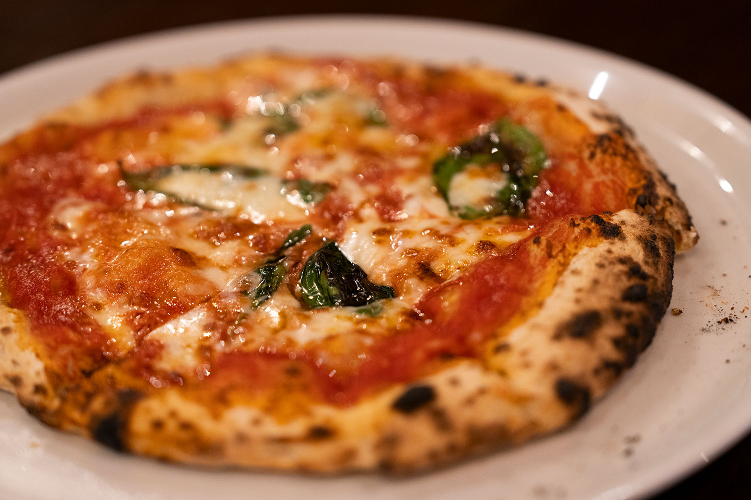 “好き”と“楽しい”を詰め込んだ</br>出雲市のセンスフルな複合型ショップ『B.S.K.K』