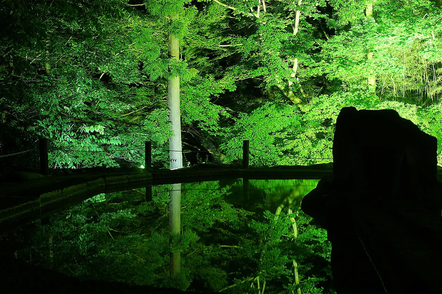 伝統と革新が交錯するアートなお宿<br>『湯季の郷 紫泉』の魅力を深堀り