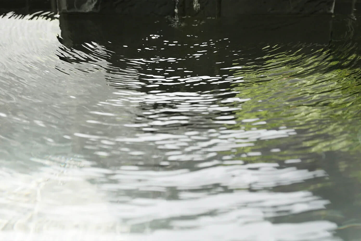 伝統と革新が交錯するアートなお宿<br>『湯季の郷 紫泉』の魅力を深堀り