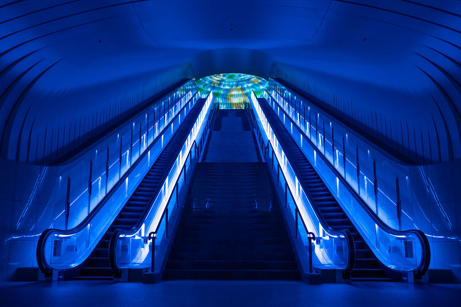 雄大な相模灘とアートが融合するMOA美術館で特別な一日を