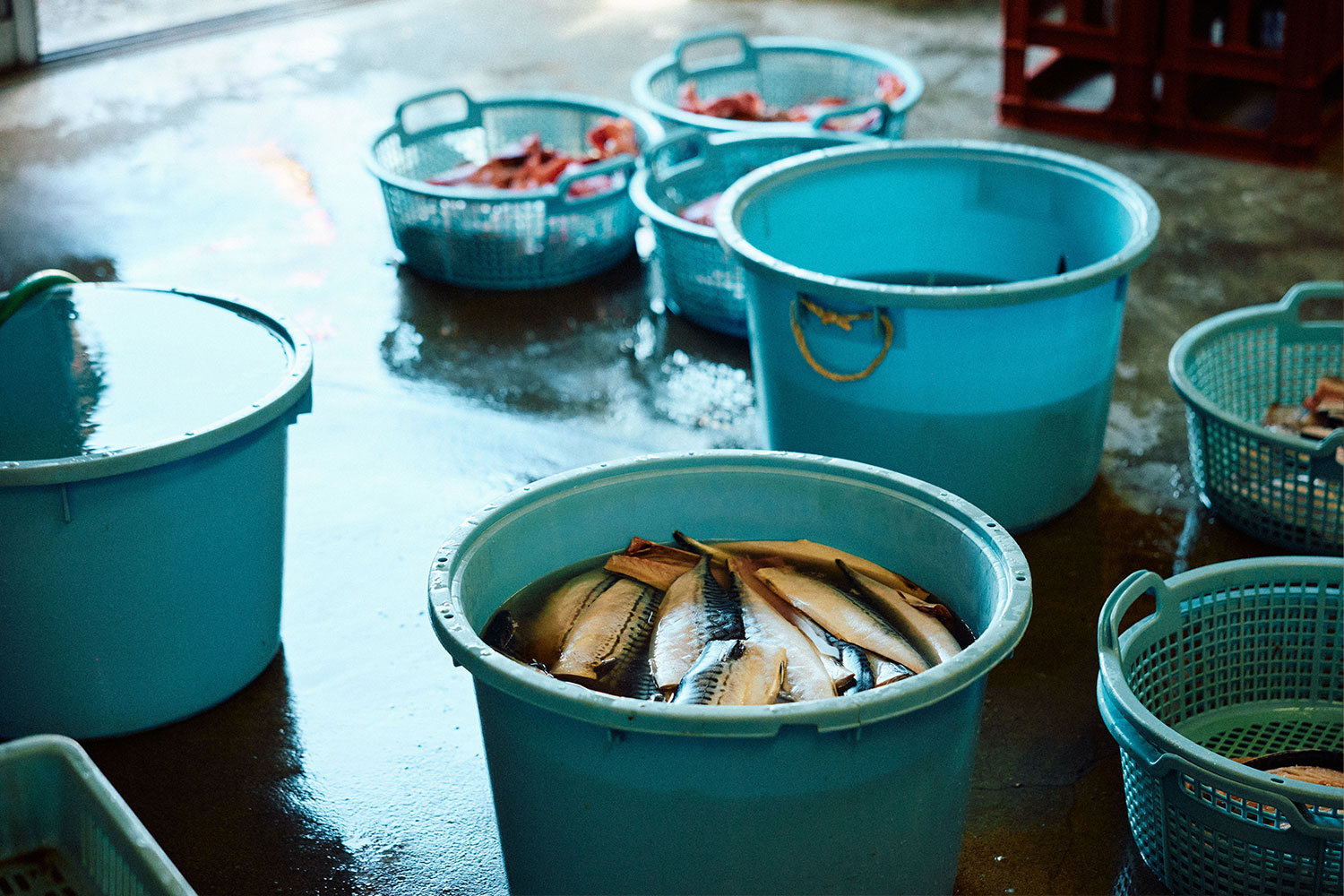 普通の干物は作らない<br>「ハイパー干物クリエイター」の唯一無二の世界