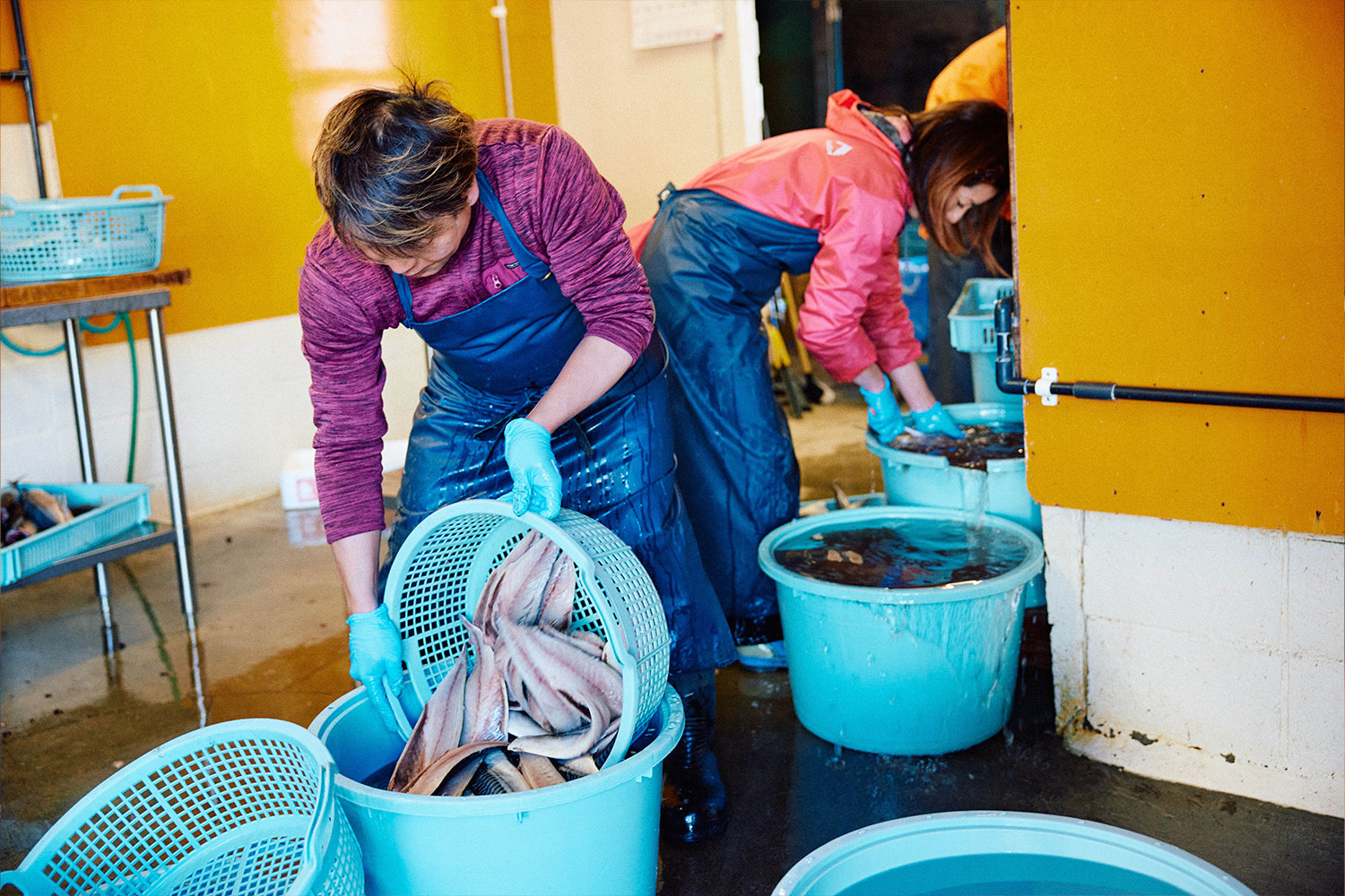 普通の干物は作らない<br>「ハイパー干物クリエイター」の唯一無二の世界