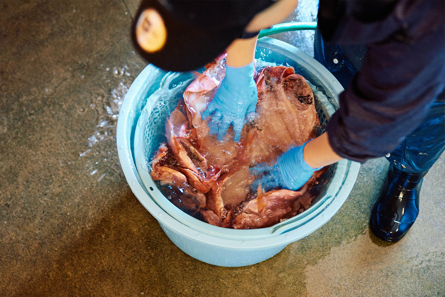 普通の干物は作らない<br>「ハイパー干物クリエイター」の唯一無二の世界