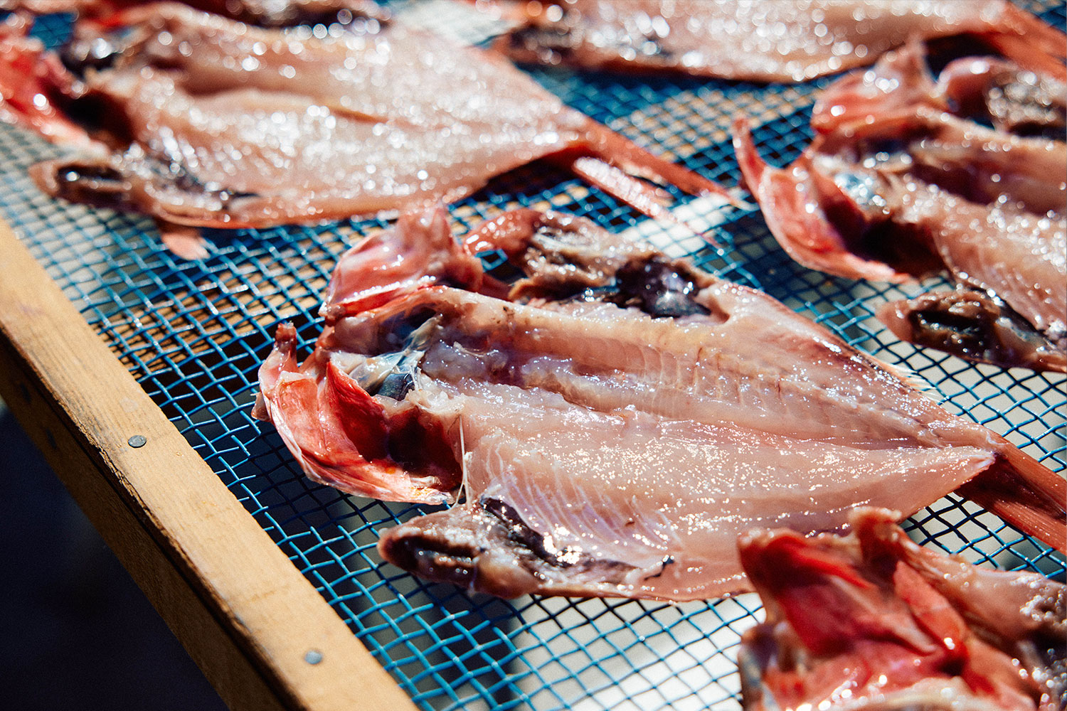 普通の干物は作らない<br>「ハイパー干物クリエイター」の唯一無二の世界