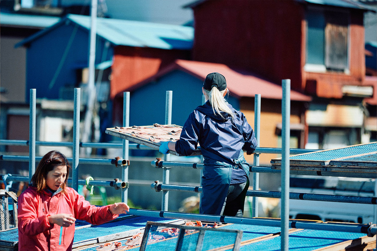 普通の干物は作らない<br>「ハイパー干物クリエイター」の唯一無二の世界