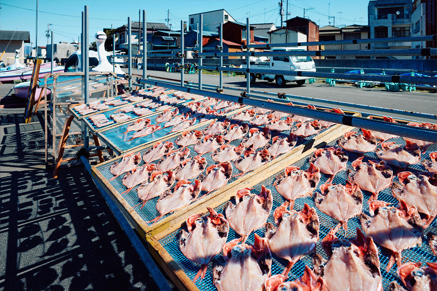 普通の干物は作らない<br>「ハイパー干物クリエイター」の唯一無二の世界