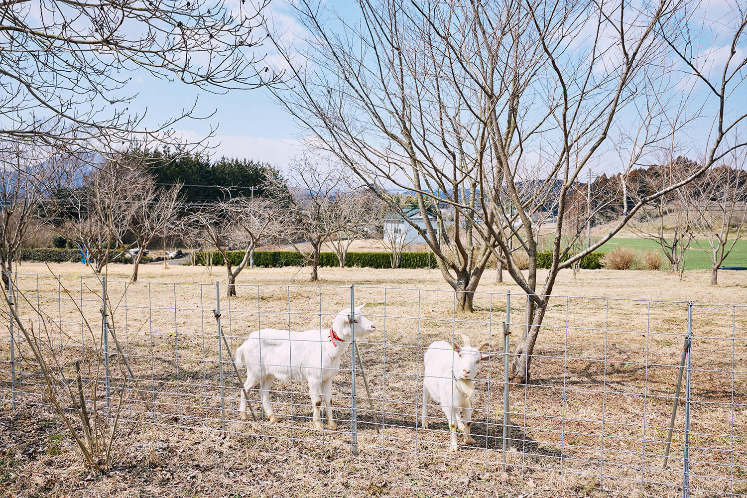 技術の力と想いの力で雇用を守る 宮城蔵王のスリッパメーカー