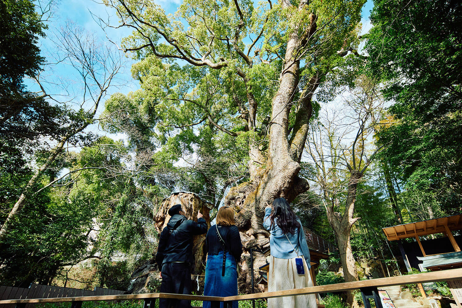 來宮神社の魅力｜関東屈指のパワースポットを体感する熱海旅