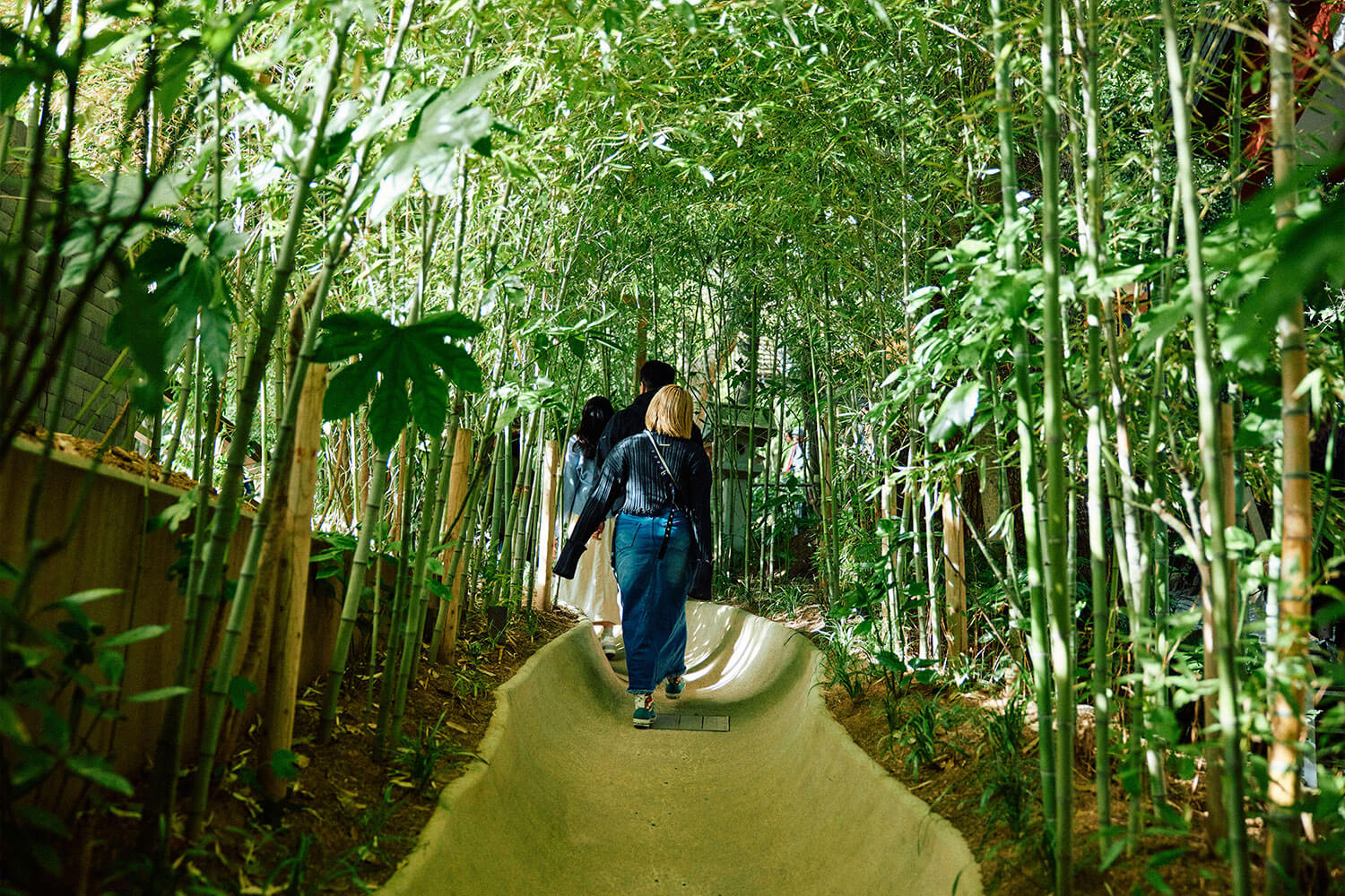 來宮神社の魅力｜関東屈指のパワースポットを体感する熱海旅