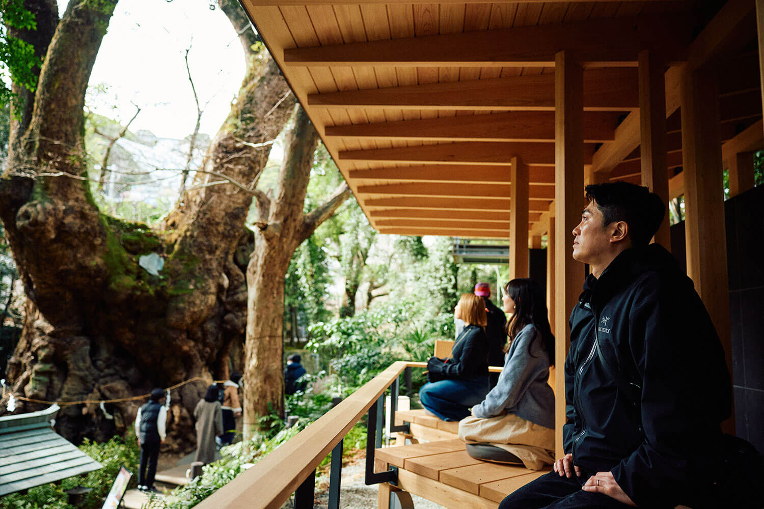 來宮神社の魅力｜関東屈指のパワースポットを体感する熱海旅