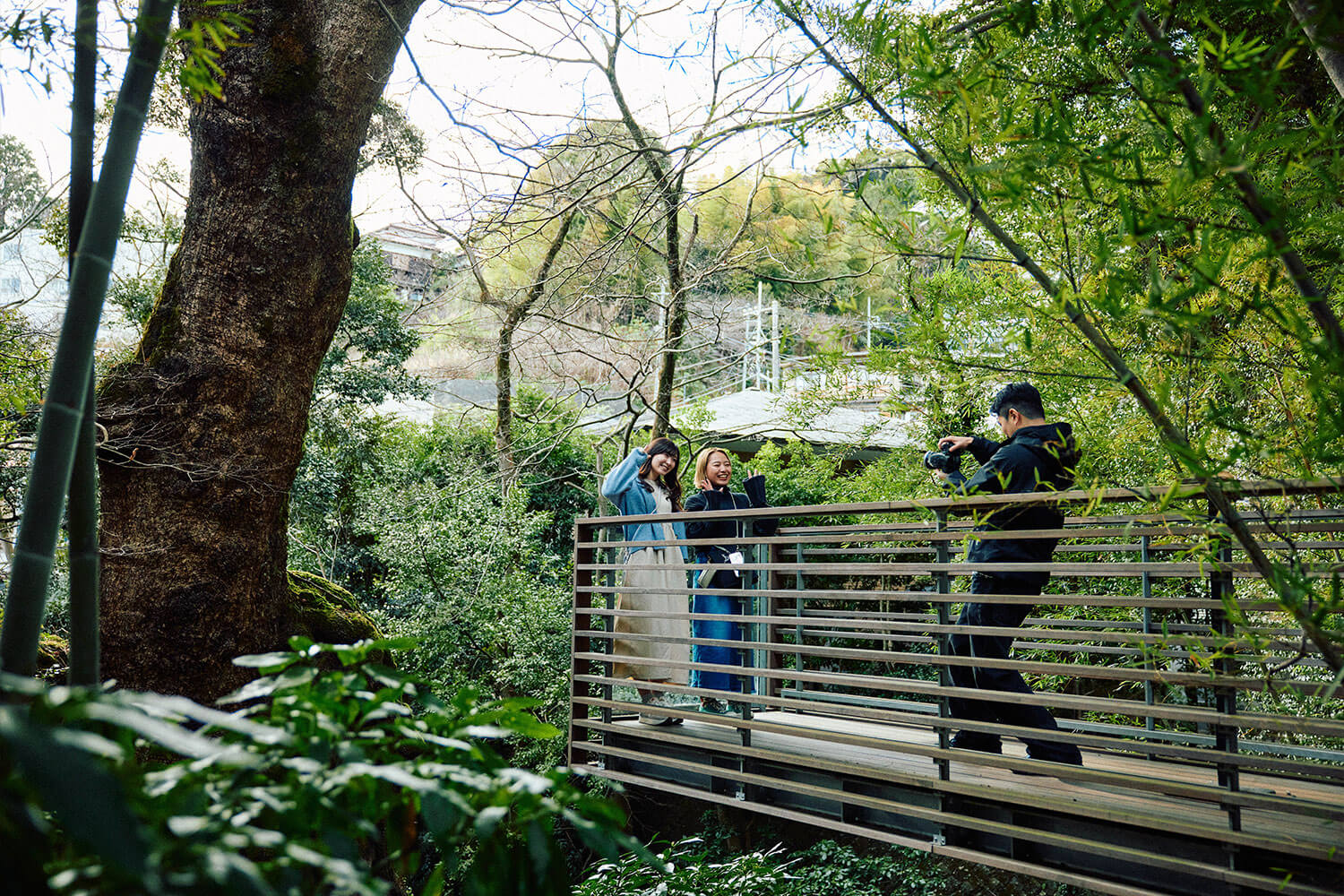 來宮神社の魅力｜関東屈指のパワースポットを体感する熱海旅