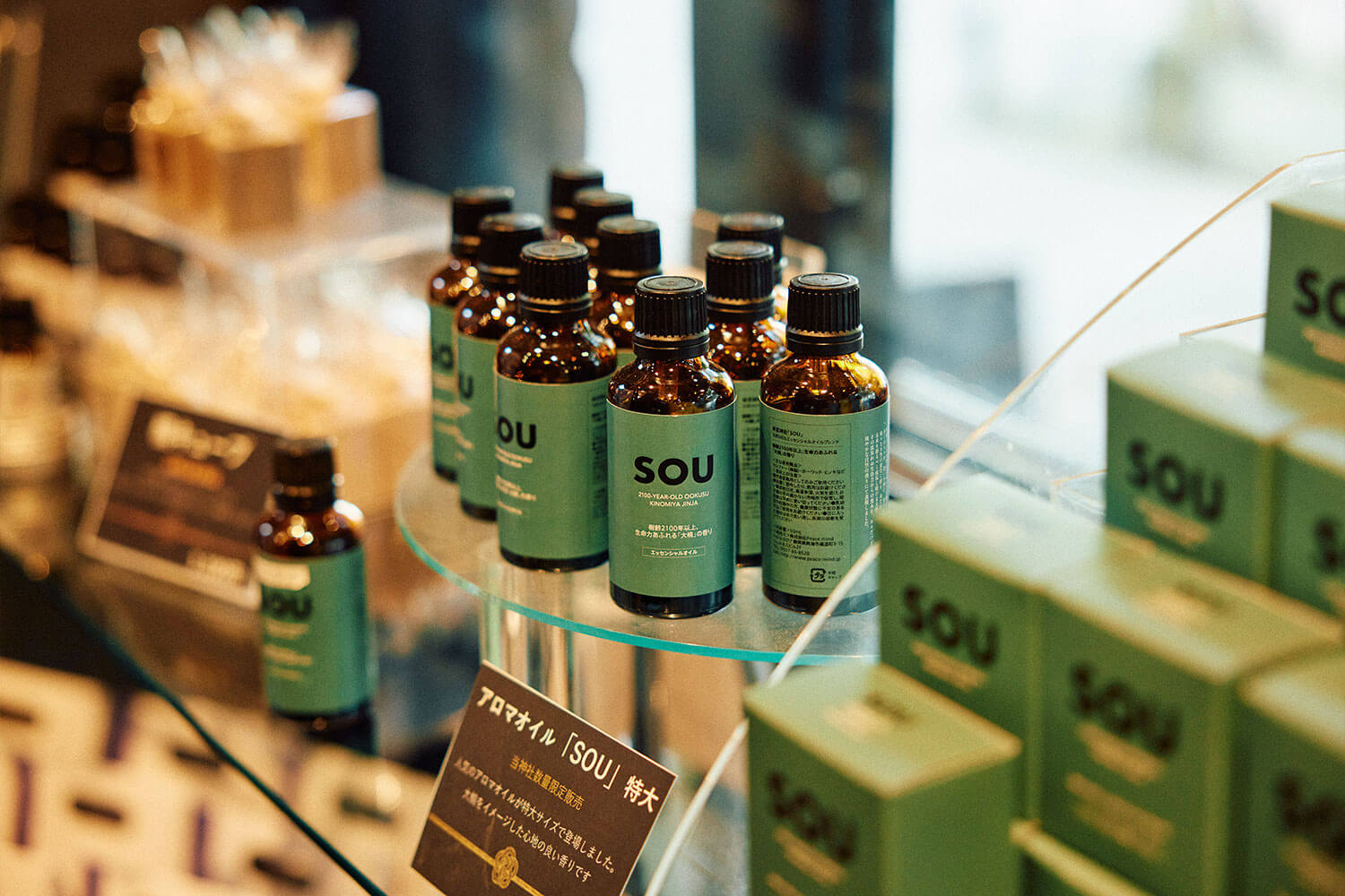 來宮神社の魅力｜関東屈指のパワースポットを体感する熱海旅