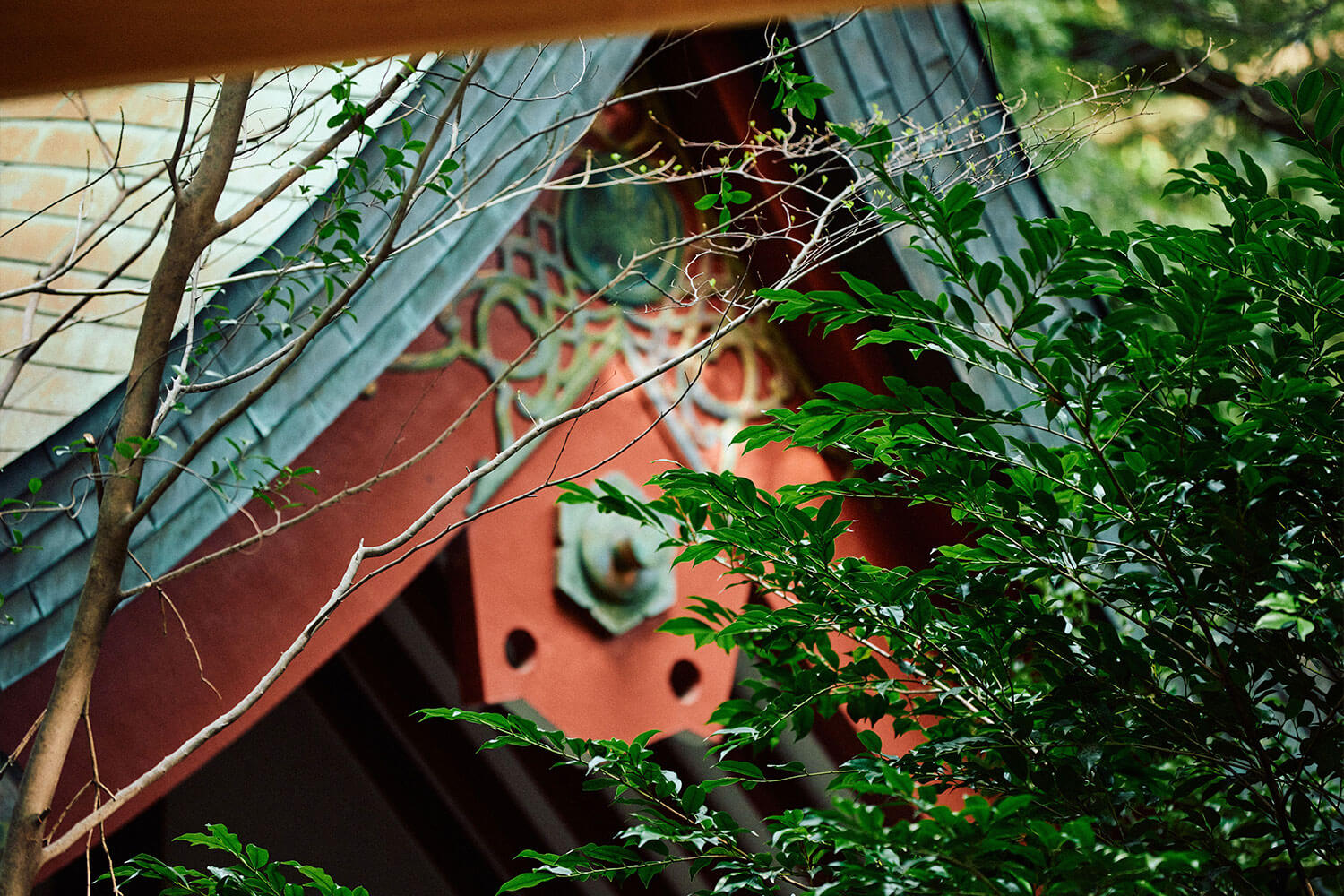 來宮神社の魅力｜関東屈指のパワースポットを体感する熱海旅