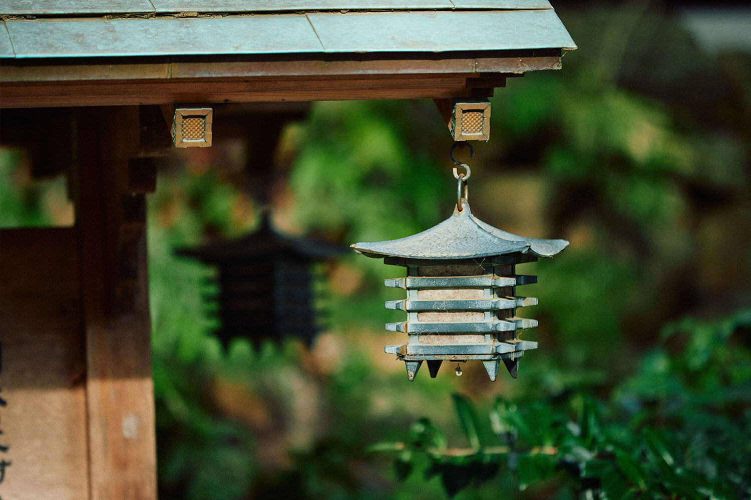 來宮神社の魅力｜関東屈指のパワースポットを体感する熱海旅