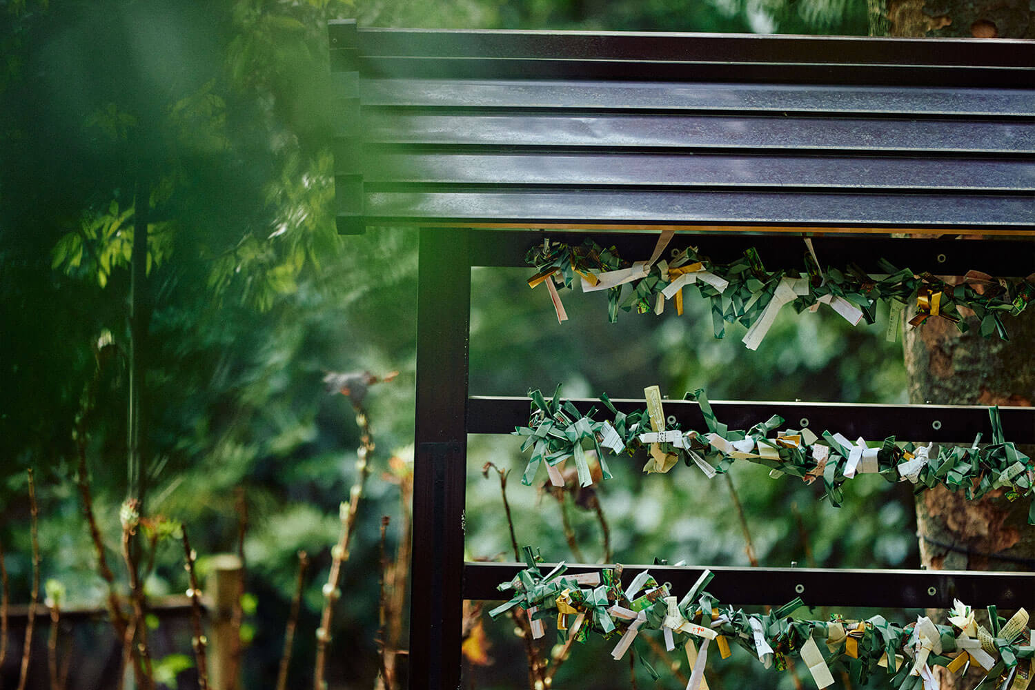 來宮神社の魅力｜関東屈指のパワースポットを体感する熱海旅