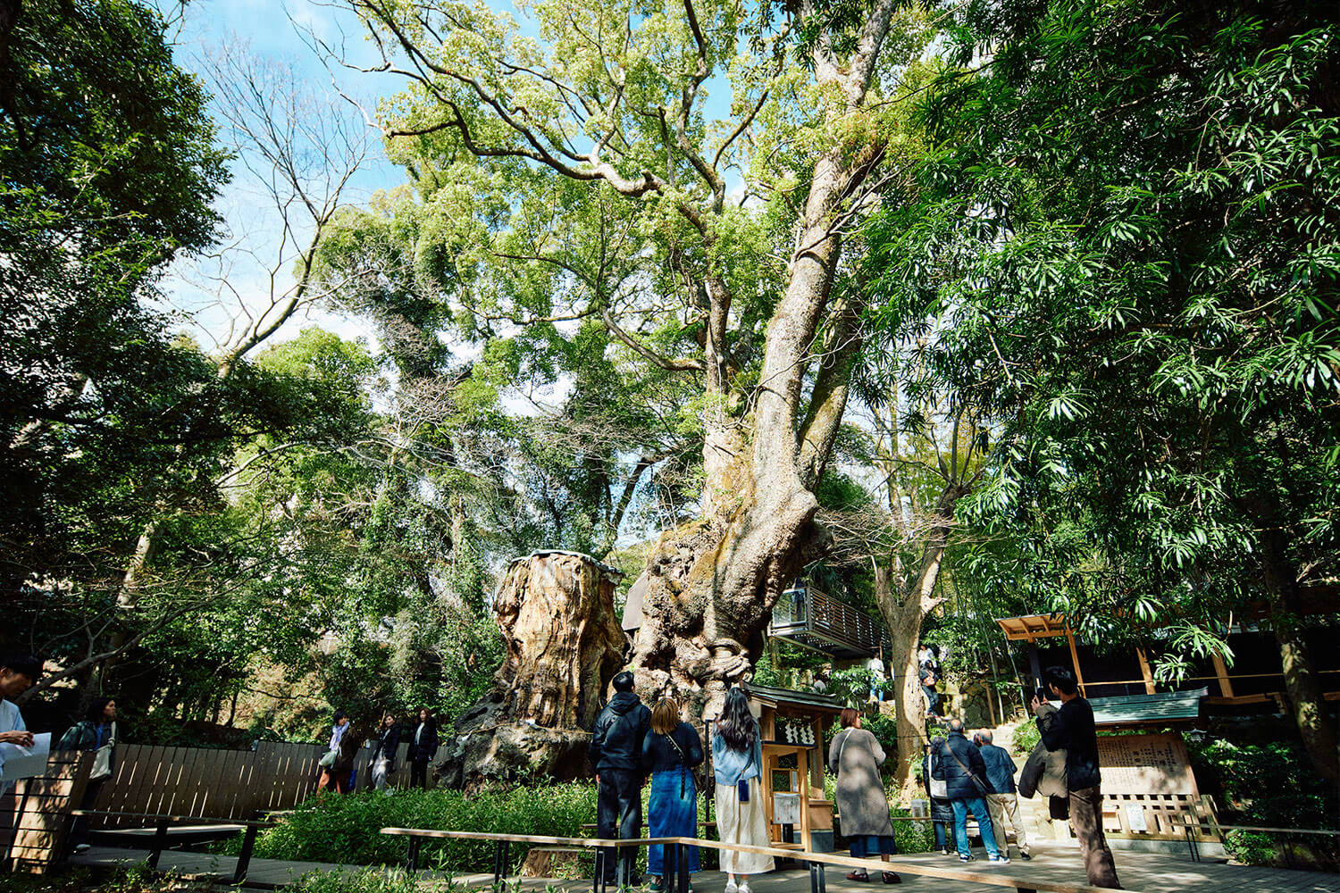 温泉だけじゃない！目も心もお腹も満たす熱海ご満悦旅