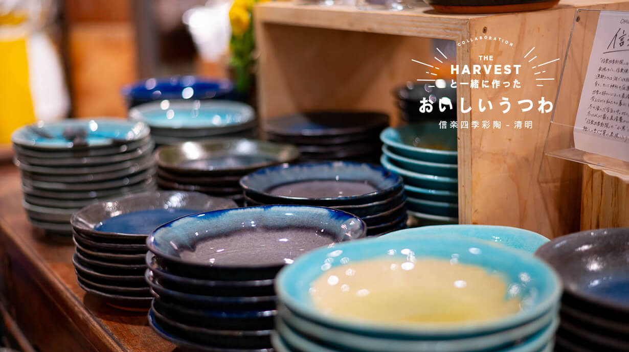 食卓に春到来♪春の移ろいにまぶしい陽が注ぐ『信楽四季彩陶-清明』でテーブルコーディネートしよう