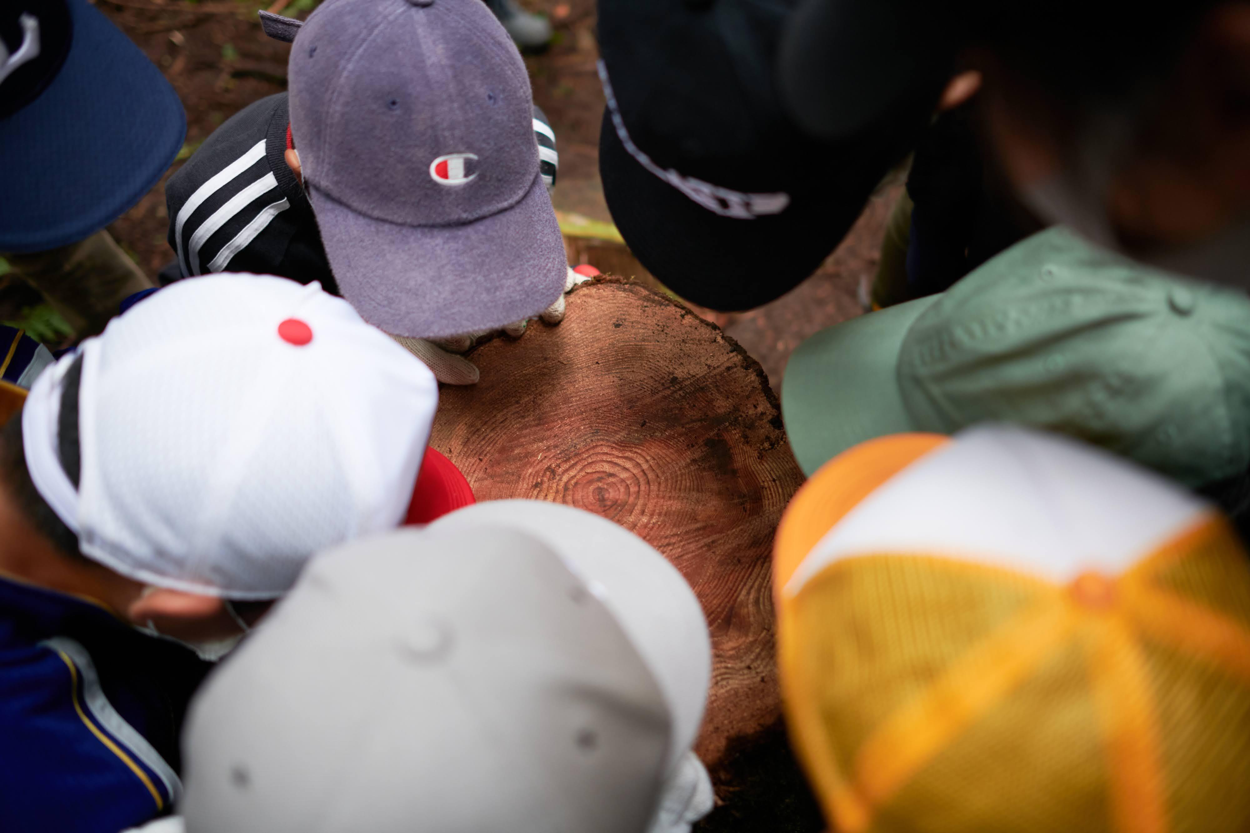 林業をエンタメ化!? 森と人の関わりをつくり、森の未来を守る『東京・森と市庭』