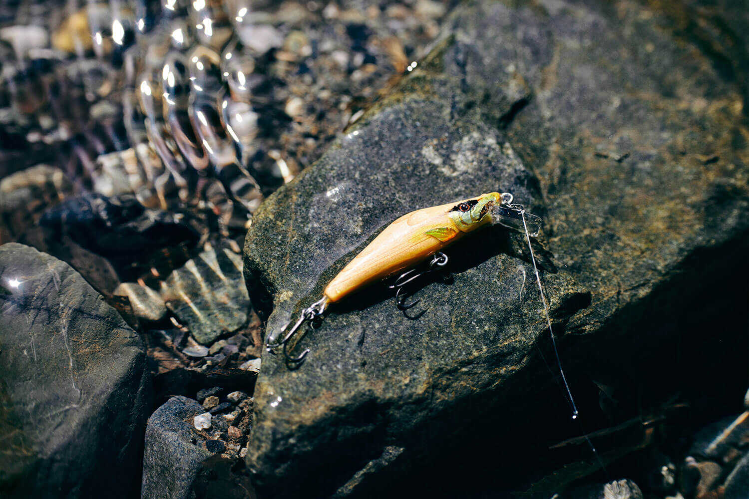 林業をエンタメ化!? 森と人の関わりをつくり、森の未来を守る『東京・森と市庭』