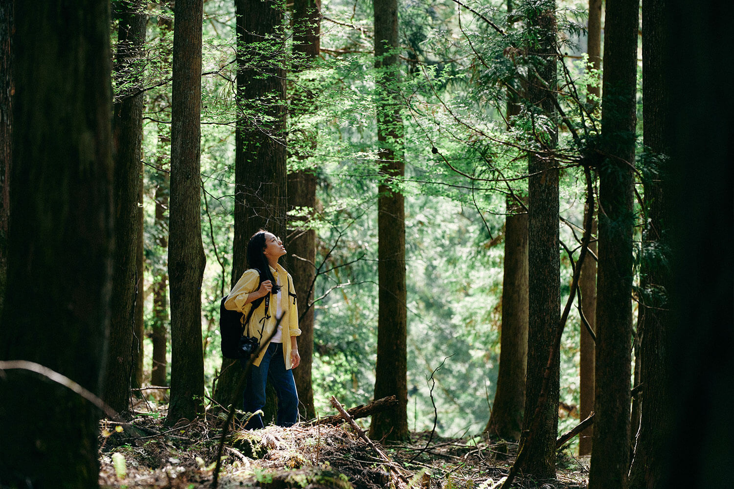 写真家 山内 聡美さんが考え、実践し、提案する<br>森と人が共生する未来の暮らし