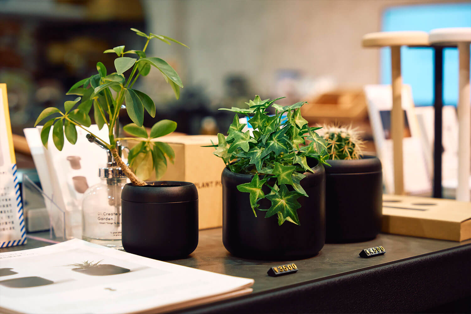 技術を信じ、価値を創造したフライパン<br>〈フライパンジュウ〉のサクセスストーリー