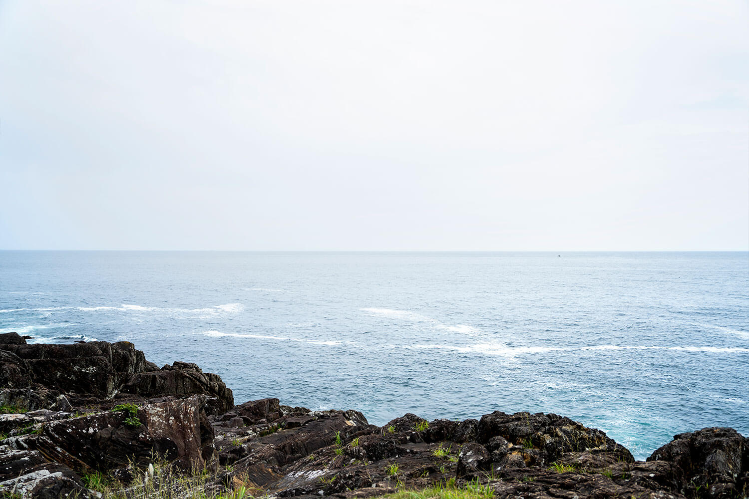 美食から絶景まで、あたたいかいおもてなしに<br>感動した水風呂ちゃんの気仙沼癒され旅