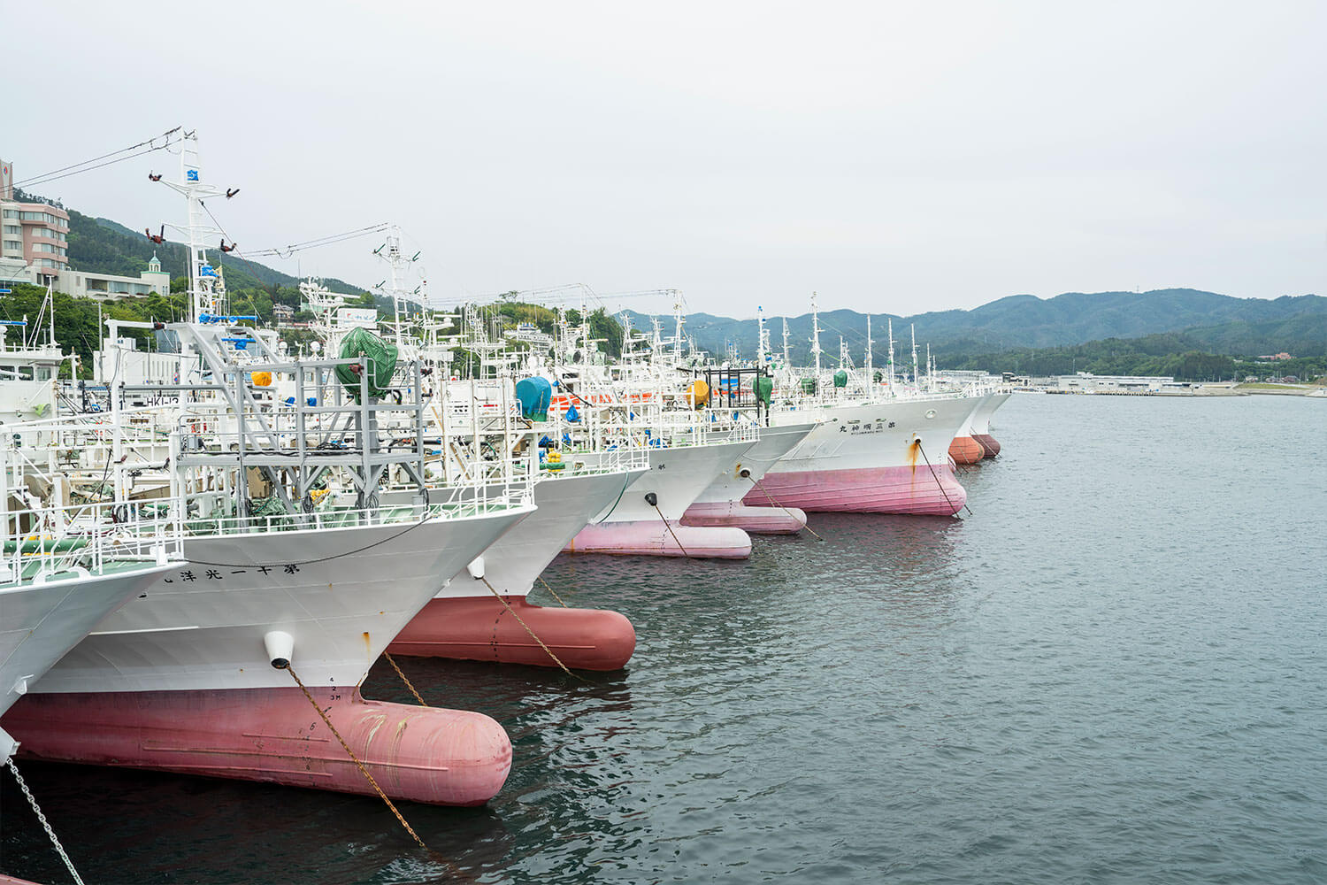美食から絶景まで、あたたいかいおもてなしに<br>感動した水風呂ちゃんの気仙沼癒され旅