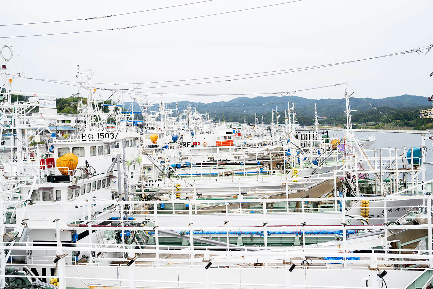 美食から絶景まで、あたたいかいおもてなしに<br>感動した水風呂ちゃんの気仙沼癒され旅