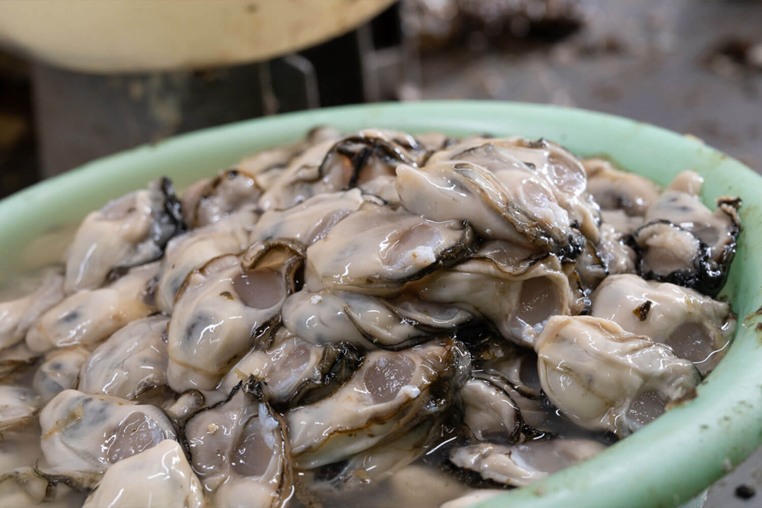 HESTA LIFE激推し！ 坂越の牡蠣を訪ねて赤穂市へ