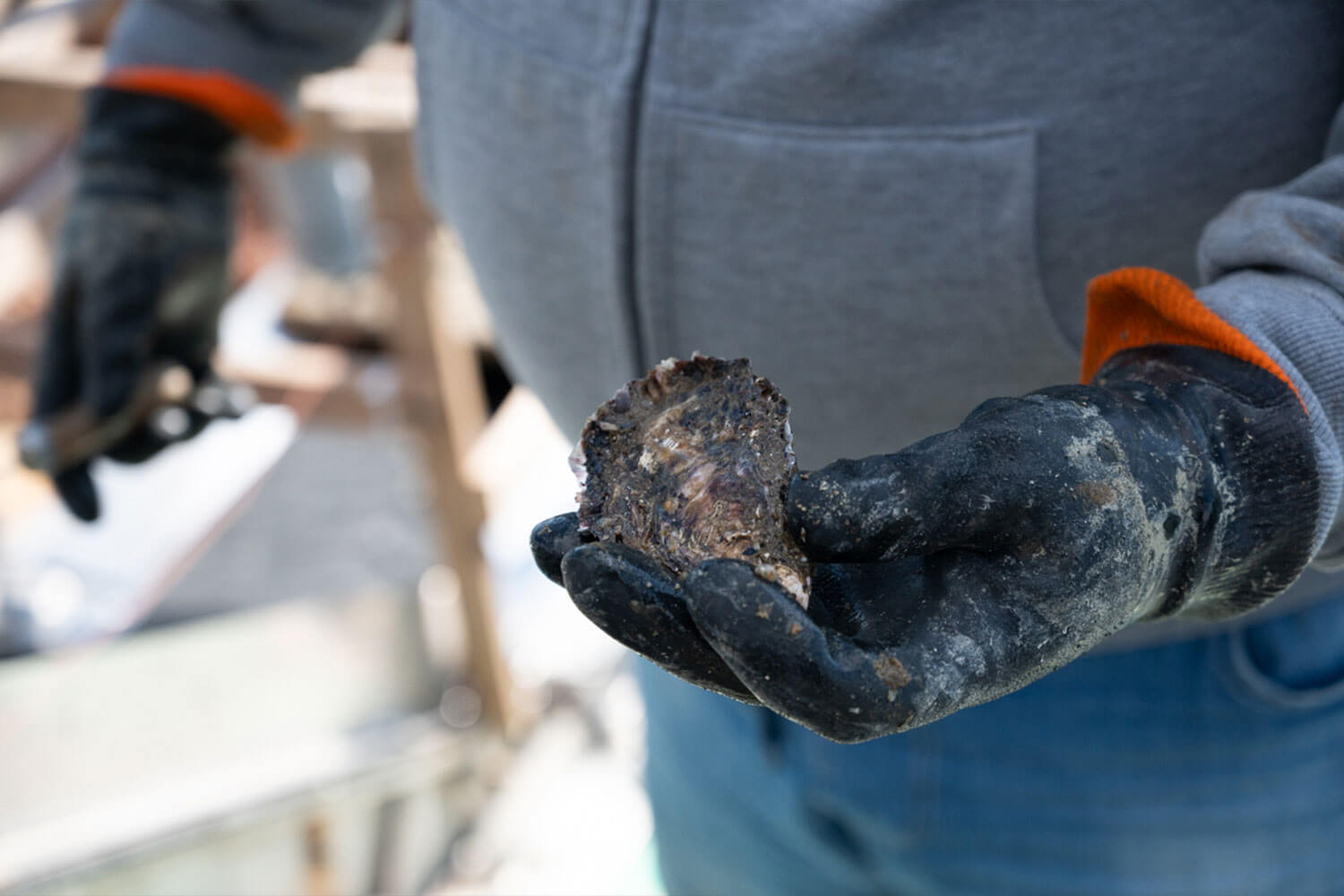 HESTA LIFE激推し！ 坂越の牡蠣を訪ねて赤穂市へ