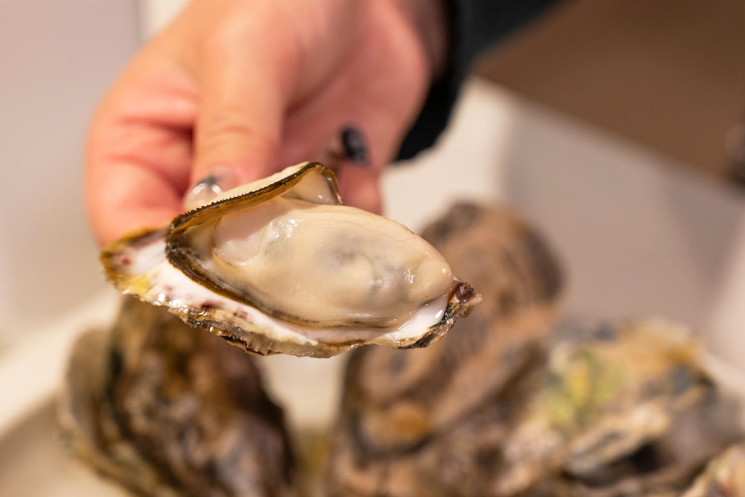 ふわふわぷりぷり！海の味を活かした『蒸し牡蠣』
