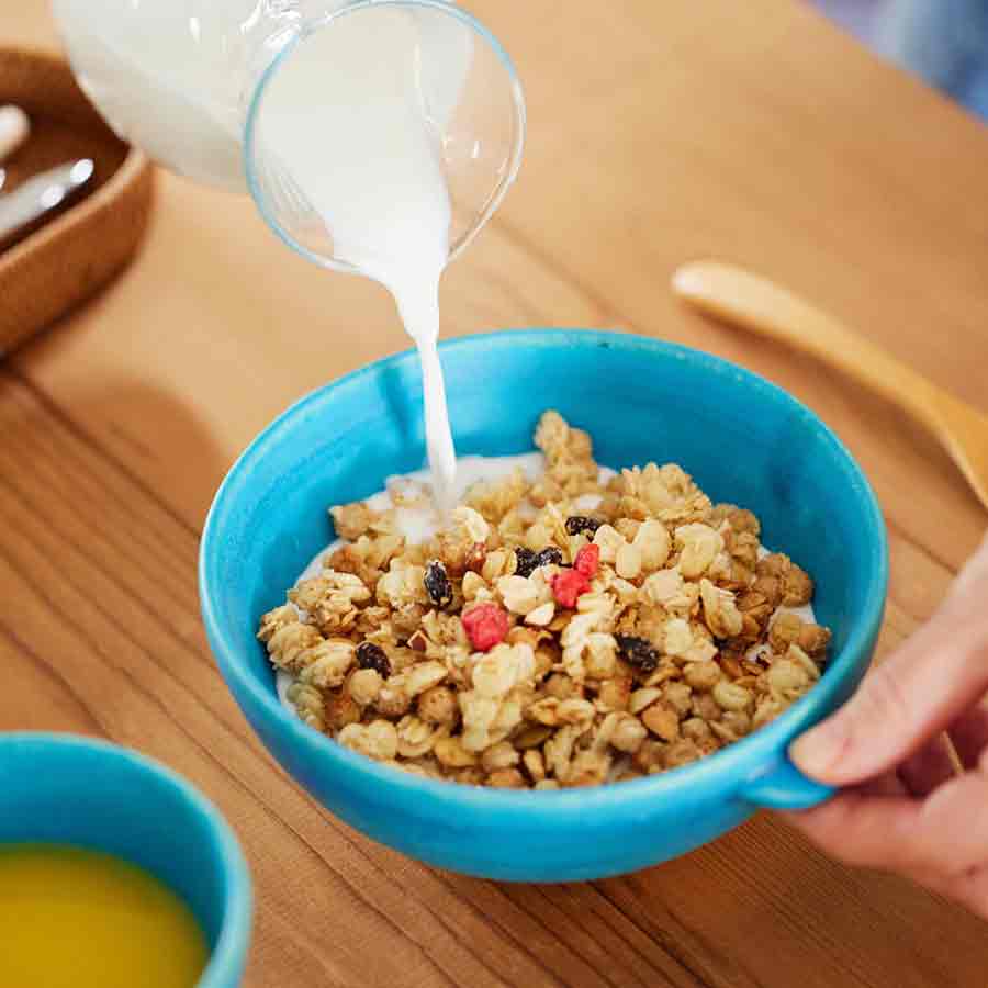 大人気商品が勢ぞろい！まずはココをチェック！<br>【HESTA LIFE売上ランキング2024】