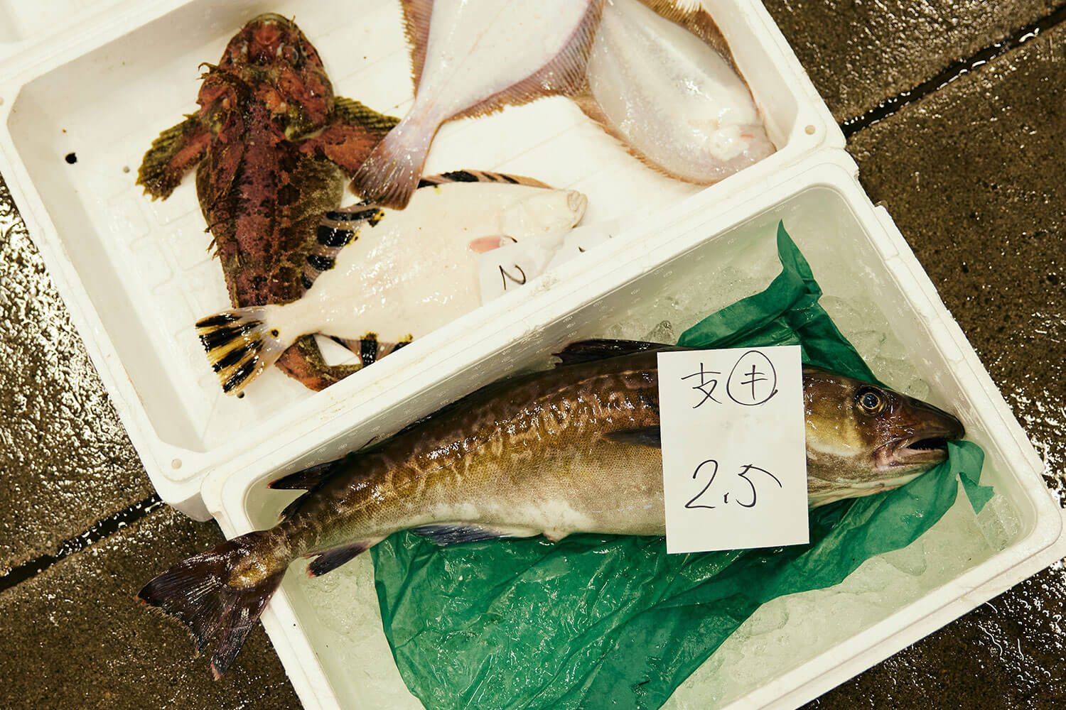 函館の海の幸を全国へ。マルヒラ川村水産の挑戦