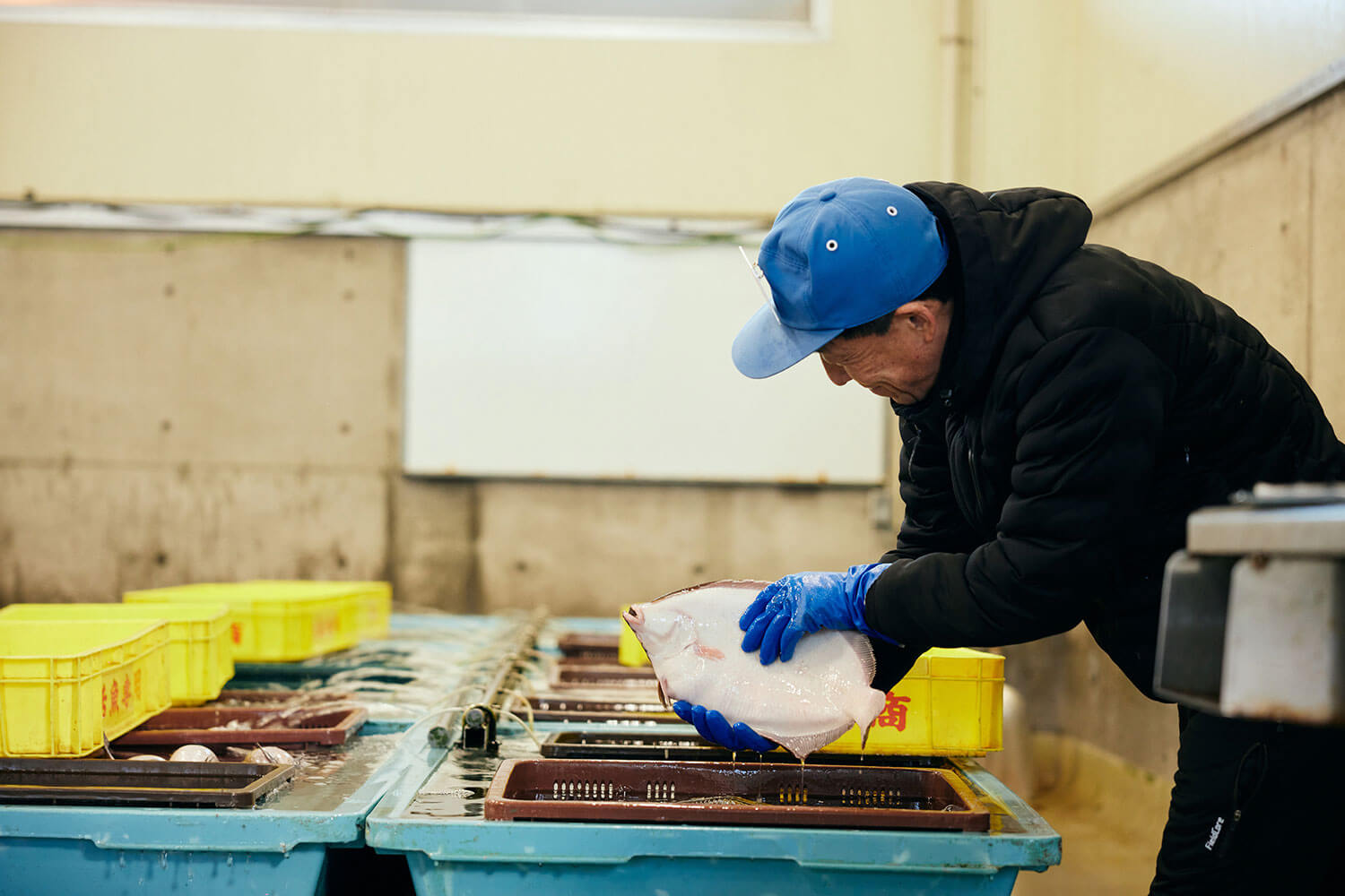 函館の海の幸を全国へ。マルヒラ川村水産の挑戦