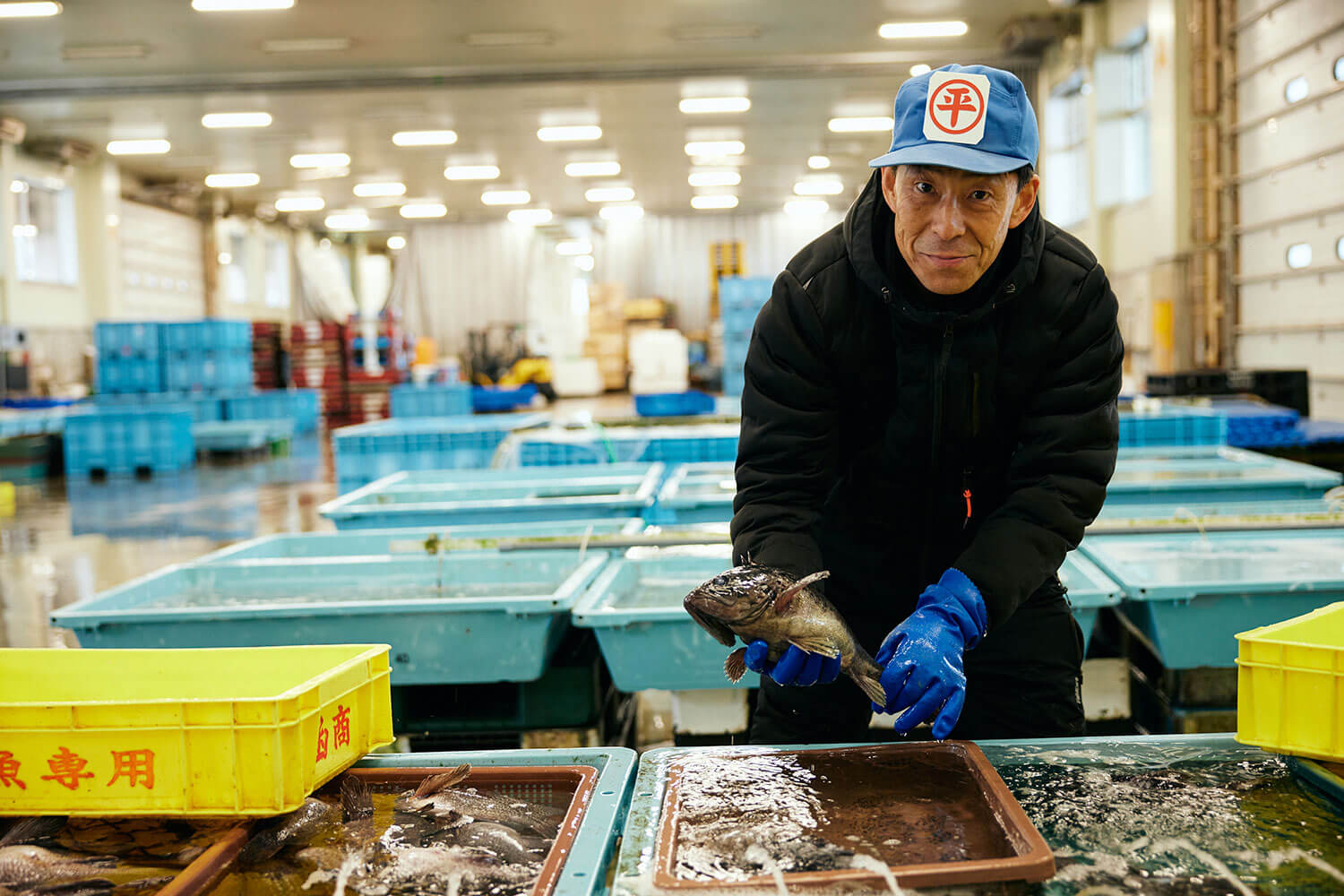 函館の海の幸を全国へ。マルヒラ川村水産の挑戦