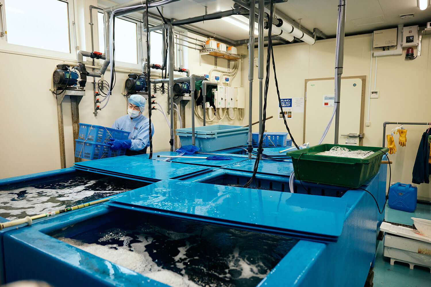 函館の海の幸を全国へ。マルヒラ川村水産の挑戦