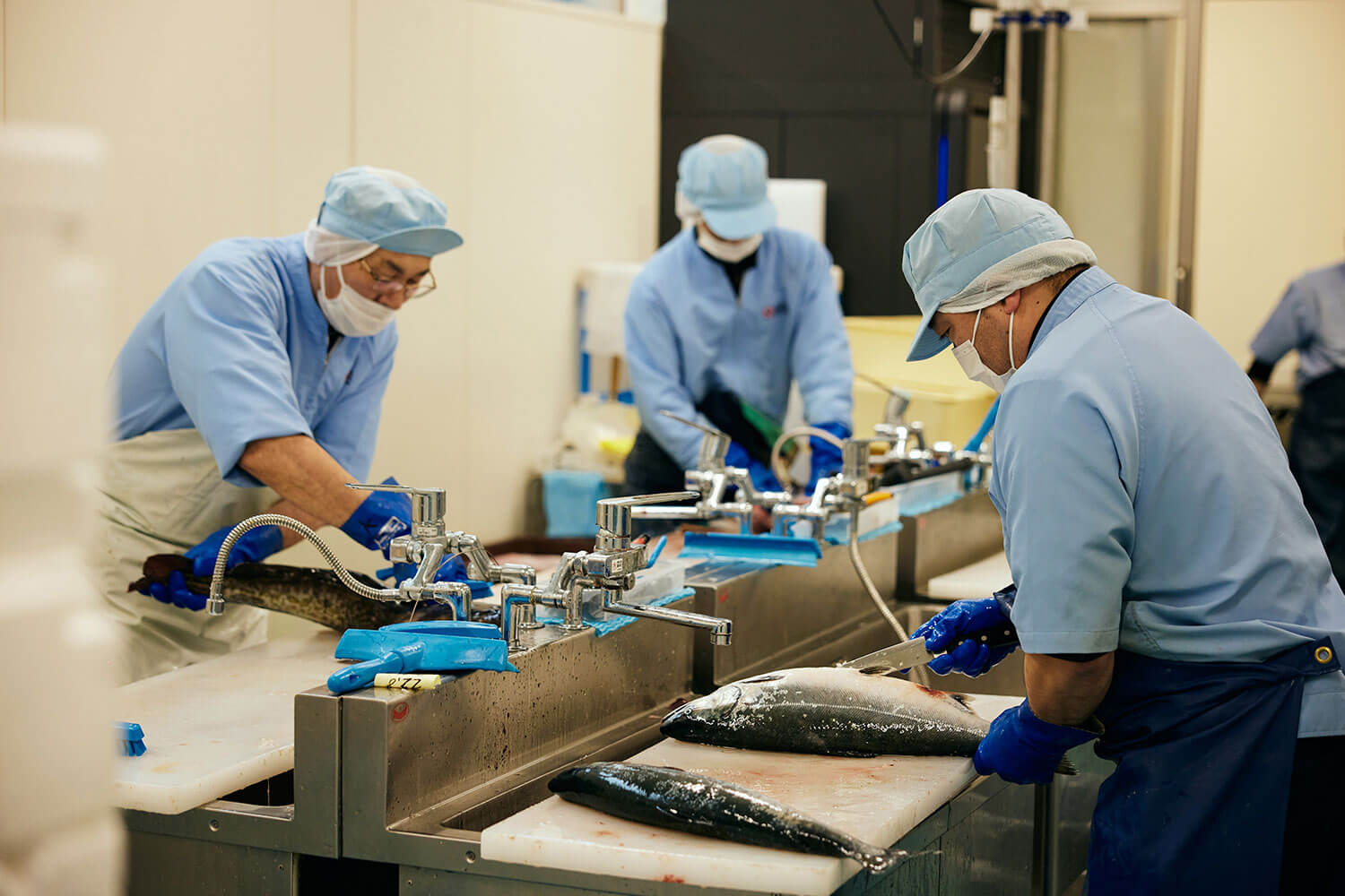 函館の海の幸を全国へ。マルヒラ川村水産の挑戦