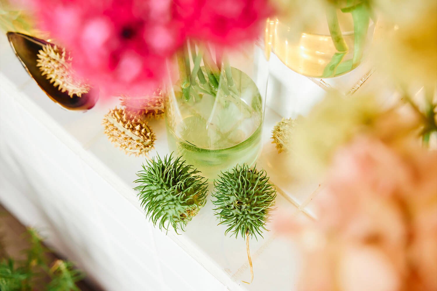 函館で出会った、花と革と、いい時間