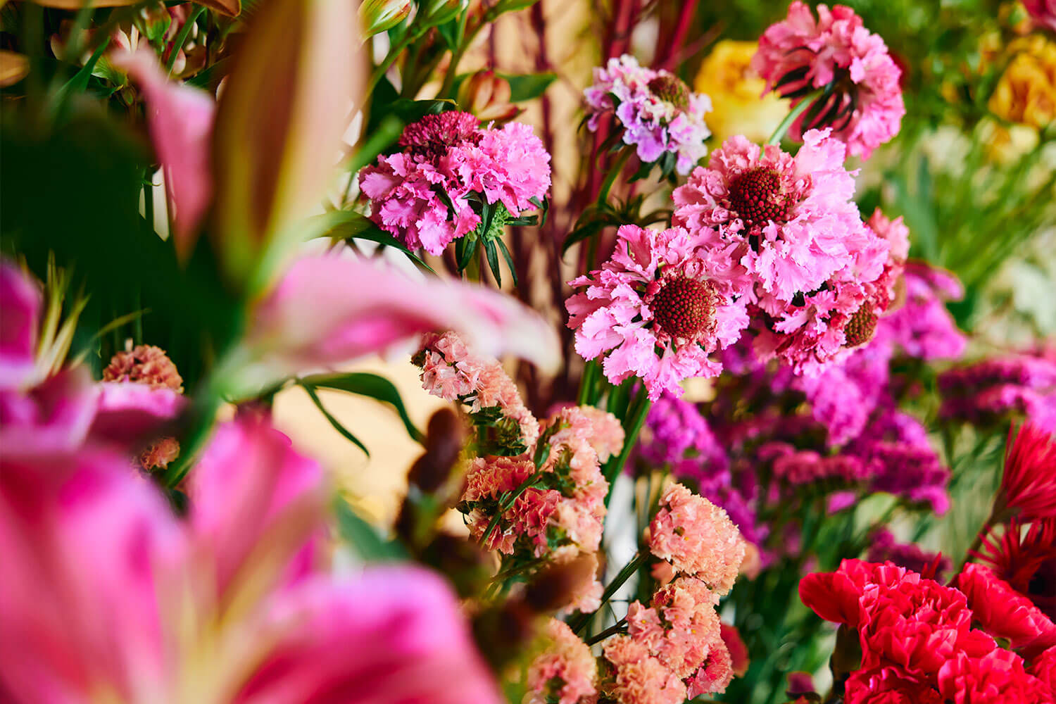 函館で出会った、花と革と、いい時間