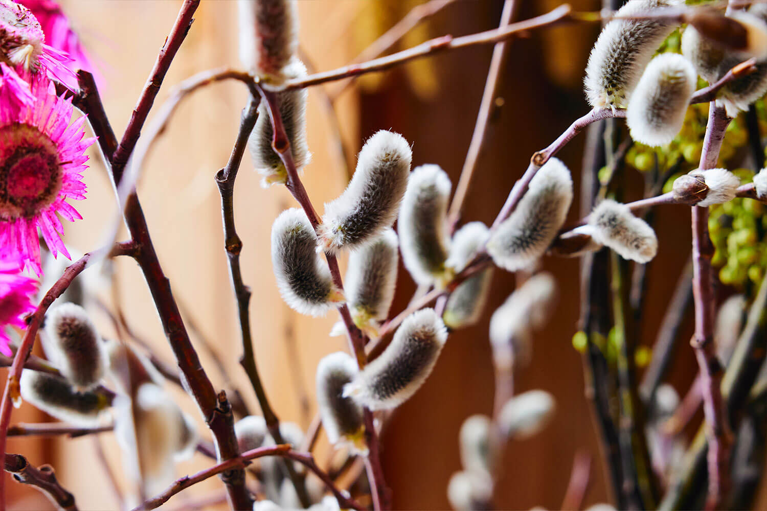 函館で出会った、花と革と、いい時間