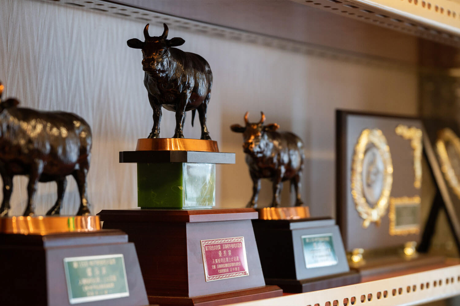 仕入れの目利きと人情味で勝負！ 東大阪の焼肉ヒーロー・炭火焼肉牧場 サカエ屋